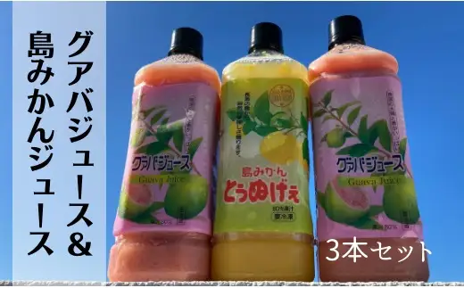 グァバ&島みかんジュース　3本セット
