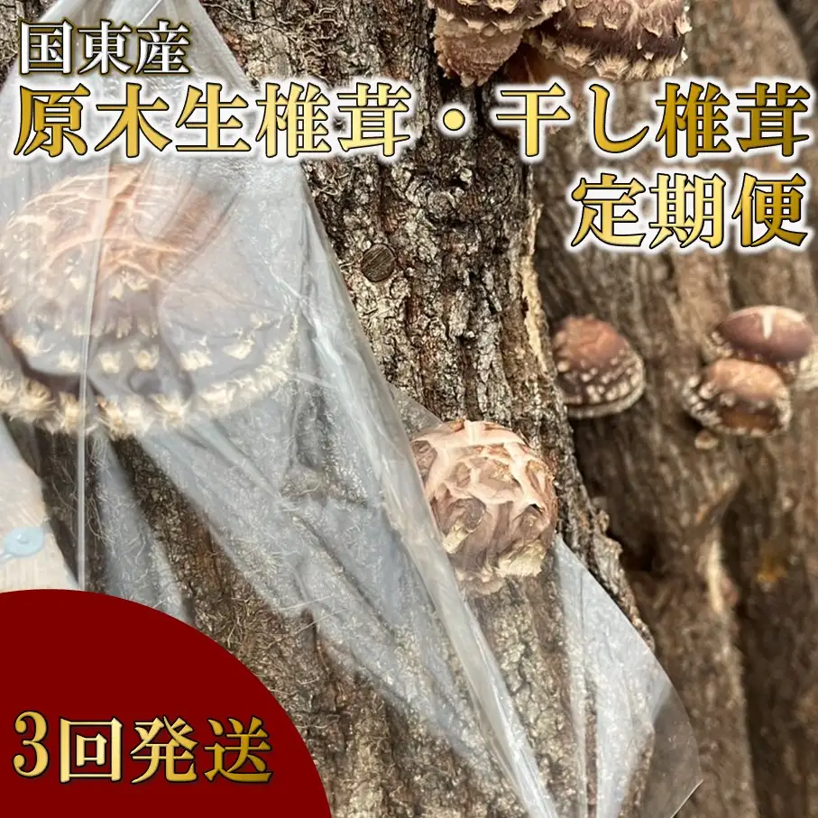 【先行予約】原木生椎茸と干し椎茸の定期便 計3回発送 しいたけ シイタケ 国産 大分県_2768R-2