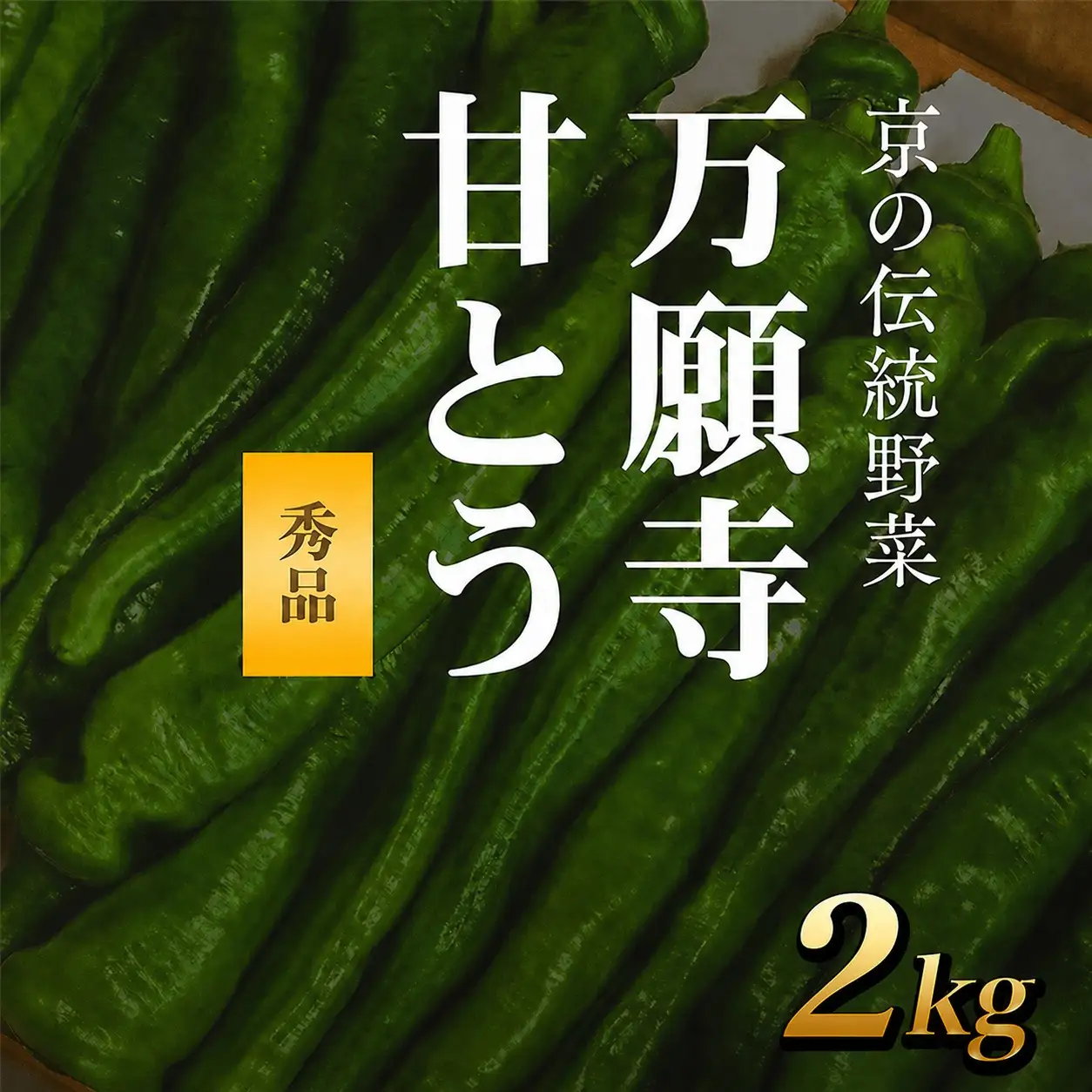 ＜2026年7月より順次発送予定＞ 万願寺甘とう 秀品 計2kg 京都丹の国農業協同組合