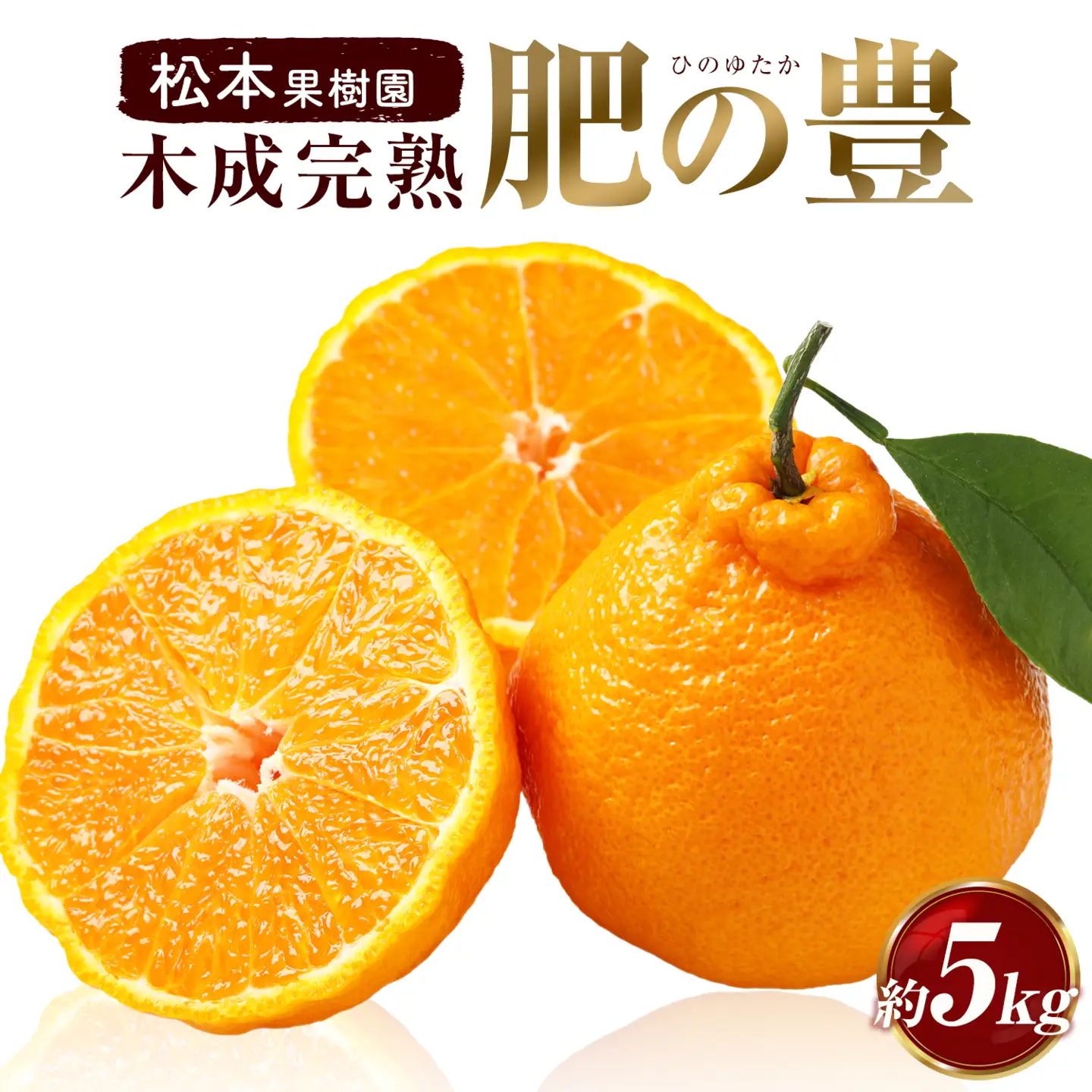 みかん 木成完熟 肥の豊 5kg 松本果樹園 《3月中旬-3月下旬出荷予定》 熊本県 苓北町 スイーツ デザート 果物 ミカン 蜜柑