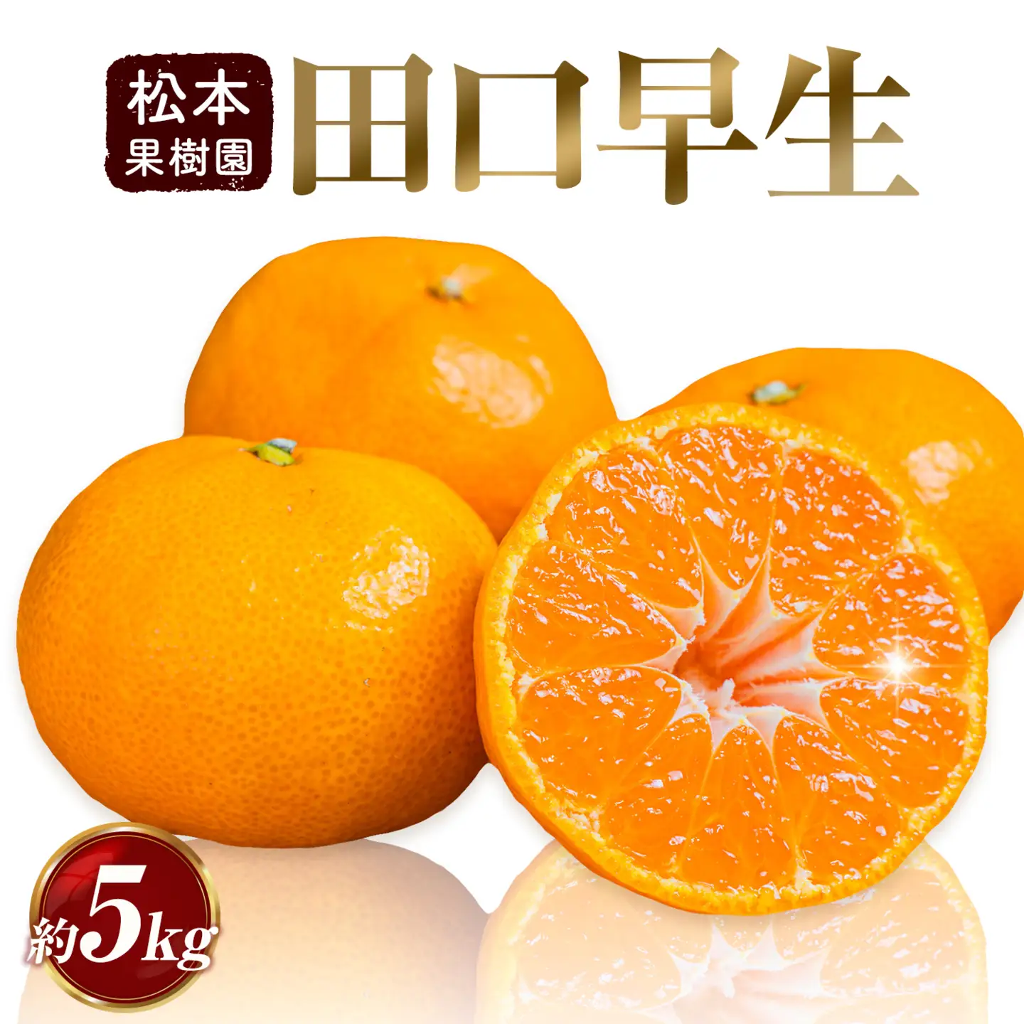 天草産 早生みかん 田口早生 約5kg 《11月中旬-11月下旬出荷予定》果物 フルーツ みかん ミカン 蜜柑 柑橘 生産者直送 産地直送 熊本県 天草 苓北 送料無料