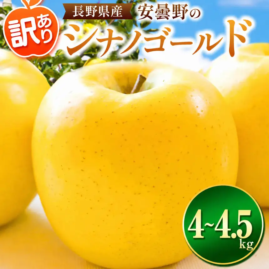 【2026年先行予約】訳あり シナノゴールド 4~4.5kg ｜ 東印平林農園 エコファーマー認定 