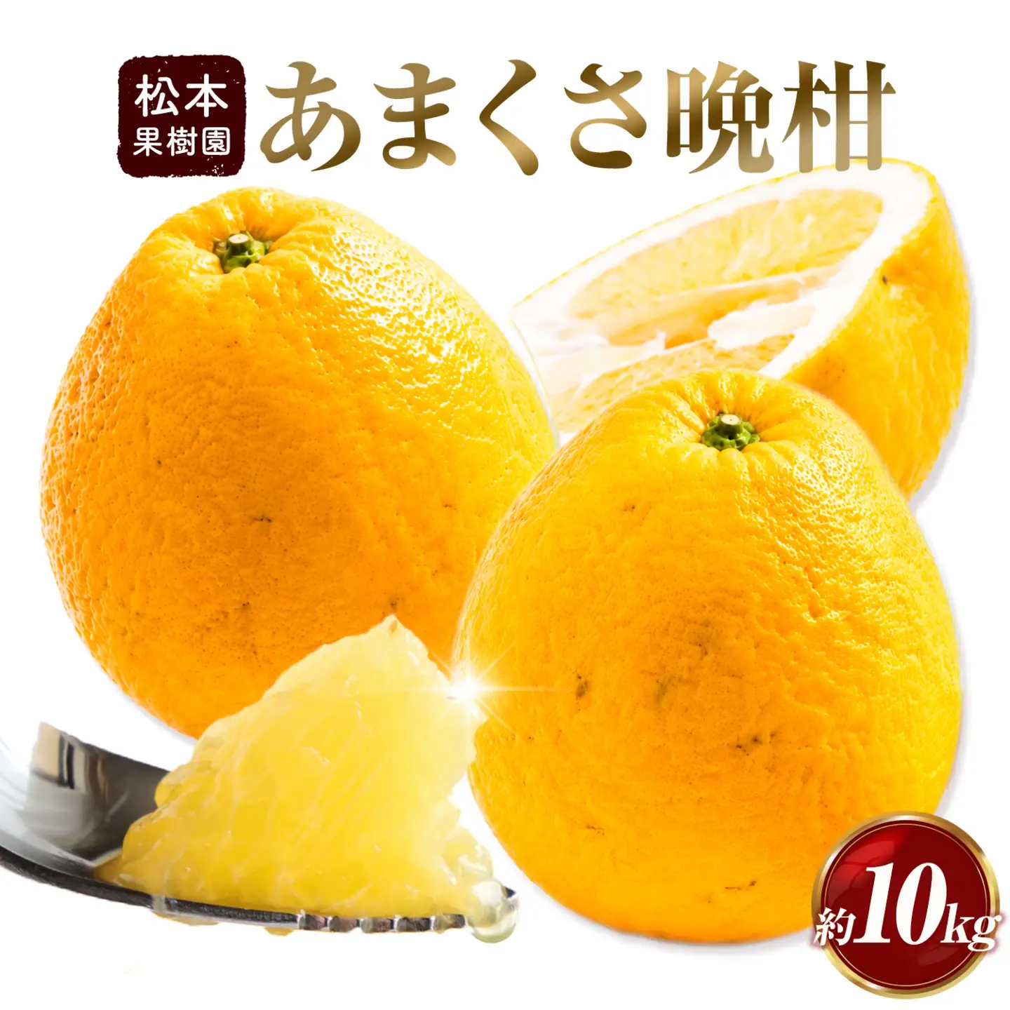 みかん あまくさ晩柑 10kg 松本果樹園 《5月上旬-5月下旬出荷予定》 熊本県 苓北町 スイーツ デザート 果物 ミカン 蜜柑