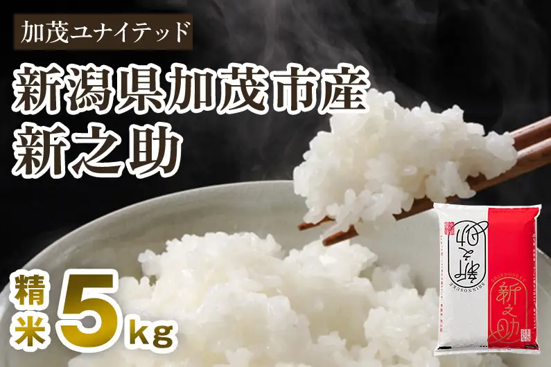 【寄附額見直し】【令和7年産】新潟県産 新之助 精米 5kg（5kg×1袋）《順次出荷》 東京・南青山の料亭で使用される極上米 加茂市 加茂ユナイテッド