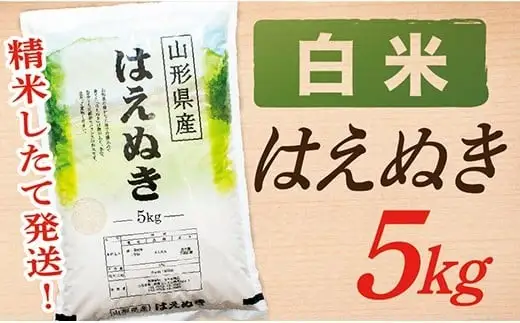 【令和8年産予約】【白米】山形県産はえぬき5kg