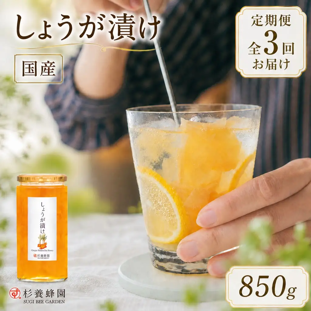 【 3回定期便 】 しょうが漬け 850g しょうが 生姜 ショウガ はちみつ漬け 蜂蜜漬け はちみつ ハチミツ 蜂蜜 杉養蜂園 定期便