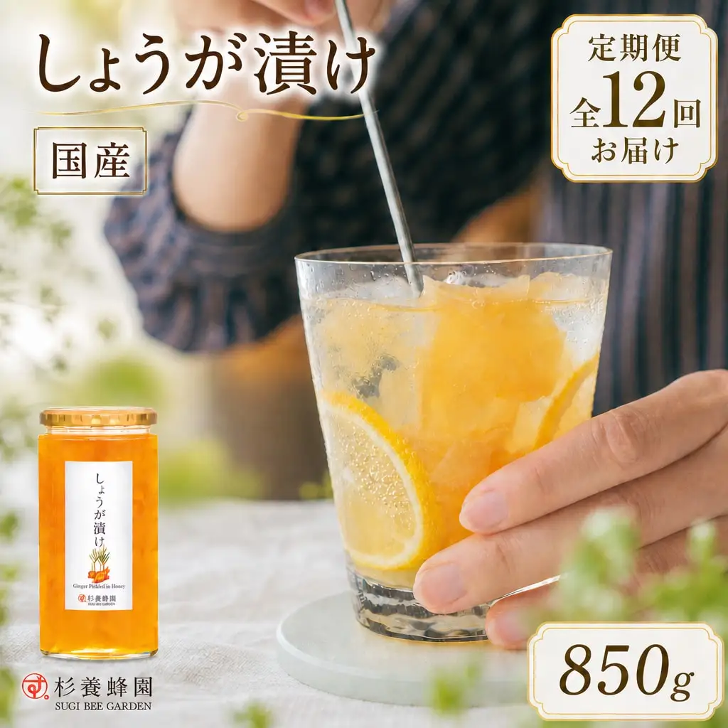 【 12回定期便 】 しょうが漬け 850g しょうが 生姜 ショウガ はちみつ漬け 蜂蜜漬け はちみつ ハチミツ 蜂蜜 杉養蜂園 定期便