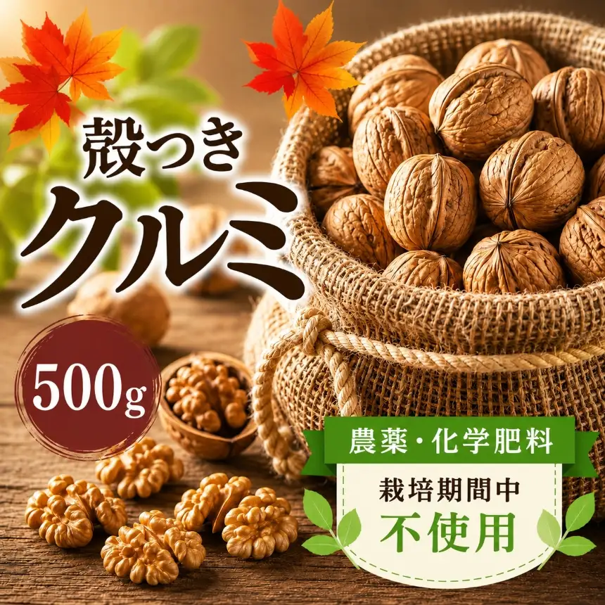 【2025年秋収穫】 殻つきクルミ 500g 《農薬・化学肥料 栽培期間中不使用》