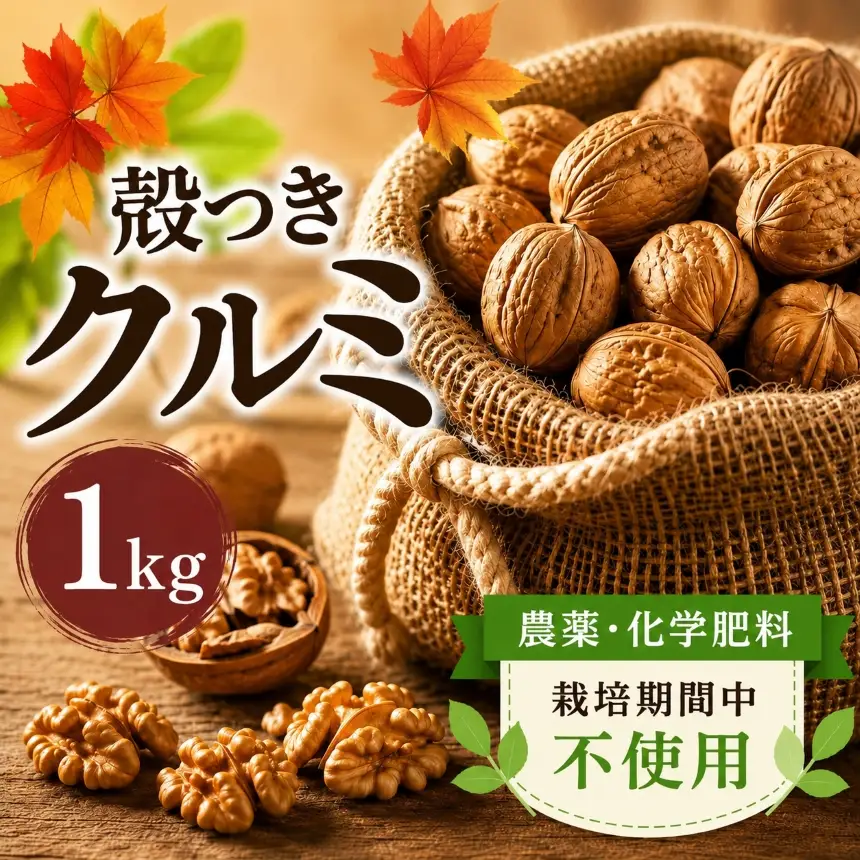【2025年秋収穫】 殻つきクルミ 1kg 《農薬・化学肥料 栽培期間中不使用》