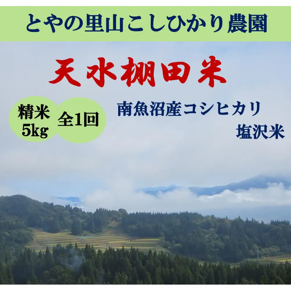 令和8年産新米予約【天水棚田米】特別栽培米雪蔵熟成塩沢産コシヒカリ精米5kg1回「とやの里山継承プロジェクト」【銘柄 精米 こしひかり コシヒカリ 魚沼産 新潟米 お米 米 こめ】【2026年10月下旬より順次発送予定】