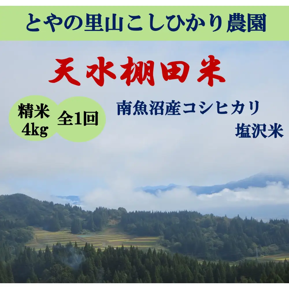 令和8年産新米予約【天水棚田米】特別栽培米雪蔵熟成塩沢産コシヒカリ精米4kg1回「とやの里山継承プロジェクト」【銘柄米 精米 こしひかり コシヒカリ 魚沼産 新潟米 お米 米 こめ】【2026年10月下旬より順次発送予定】