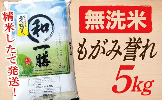 【令和8年産予約】【無洗米】山形県産もがみ誉れ5kg