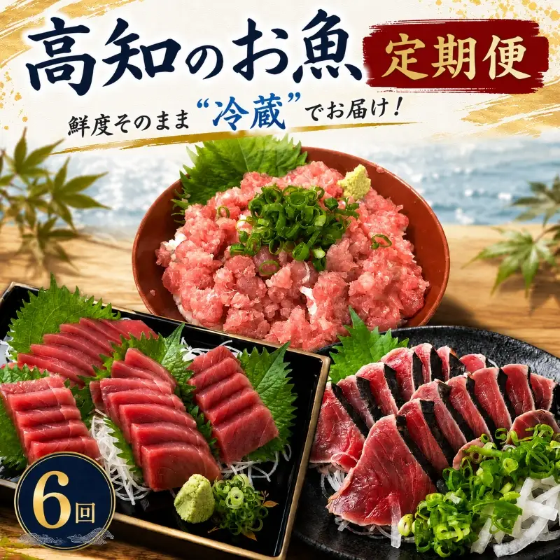 【冷蔵】 海鮮 6回定期便 高知 カツオ マグロ ネギトロ
