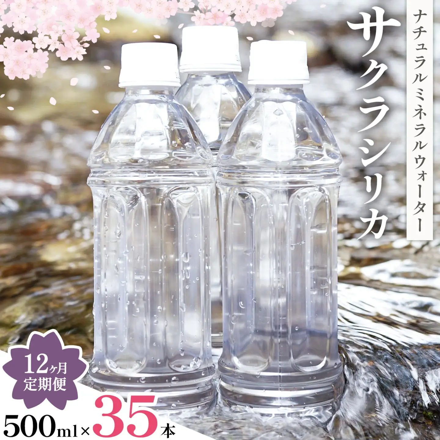 【12ヶ月定期便】サクラシリカ 500ml 35本 みずの里