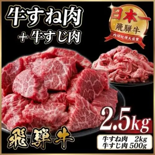 【訳あり】飛騨牛 牛すね肉・牛すじ肉煮込み料理セット 計約2.5kg【配送不可地域：離島】【1758627】