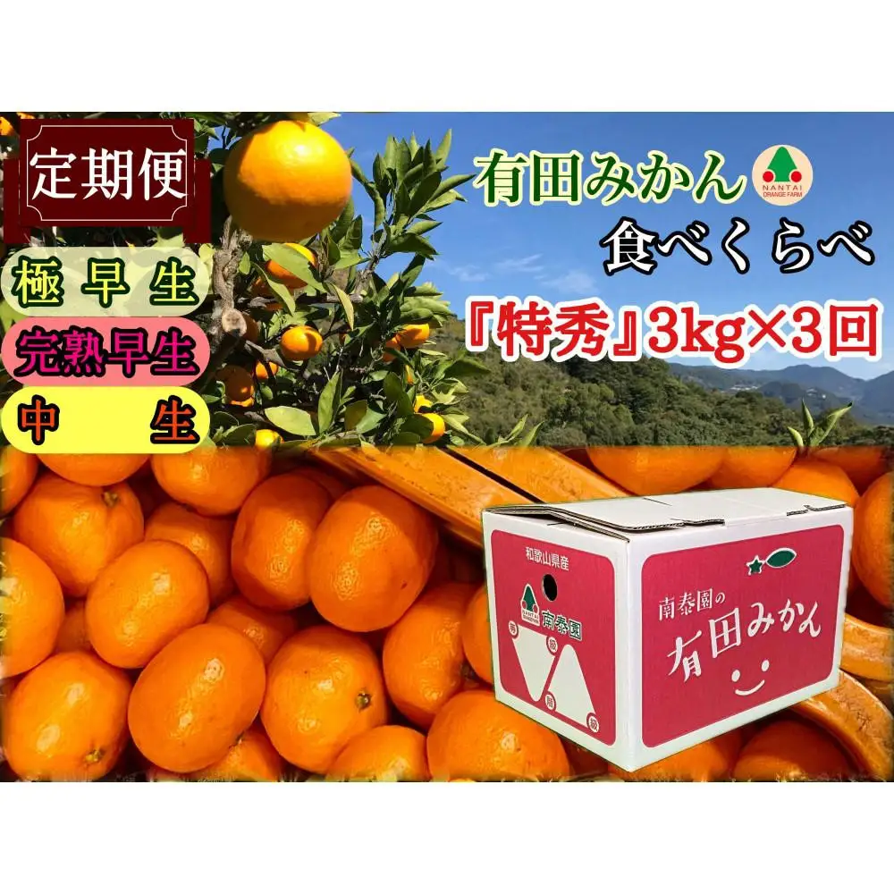 【 5年間 有田みかん 3種 食べくらべ ／ 全15回 】 特秀 3kg × 3回 × 5年 コース 南泰園 みかん