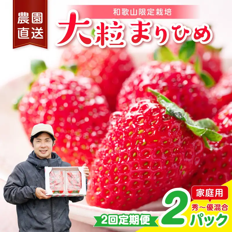 【2回定期便】大粒の贅沢！毎月届く幸せ「まりひめ」を農家直送で【家庭用】2パック ＜固定月配送＞【8073】