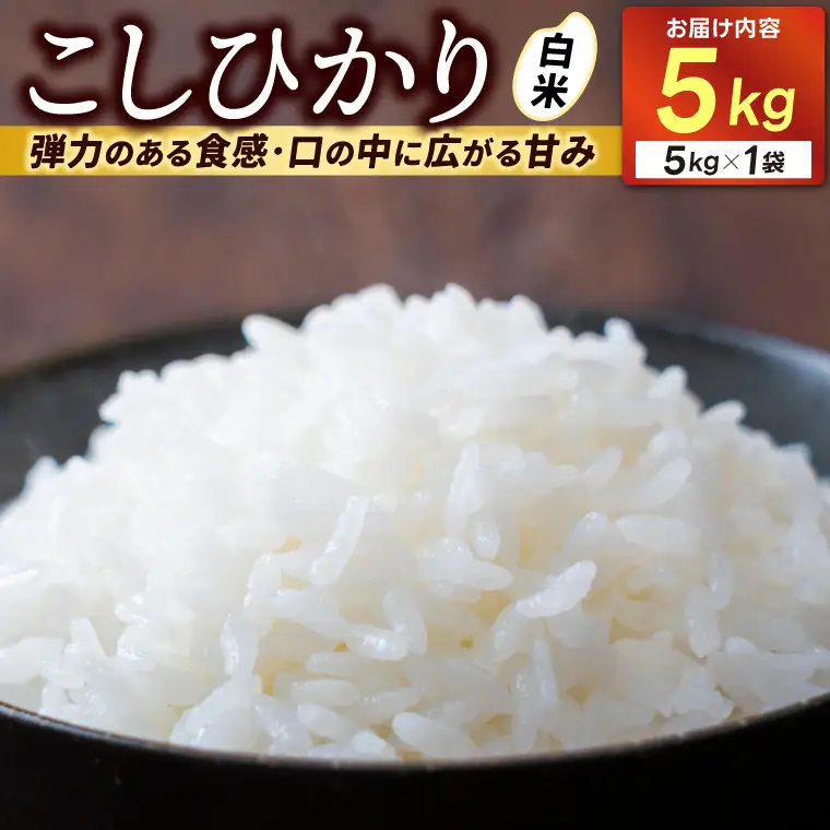 ＼新米 先行予約 ／★令和8年産★ コシヒカリ　白米5kg (AU044)