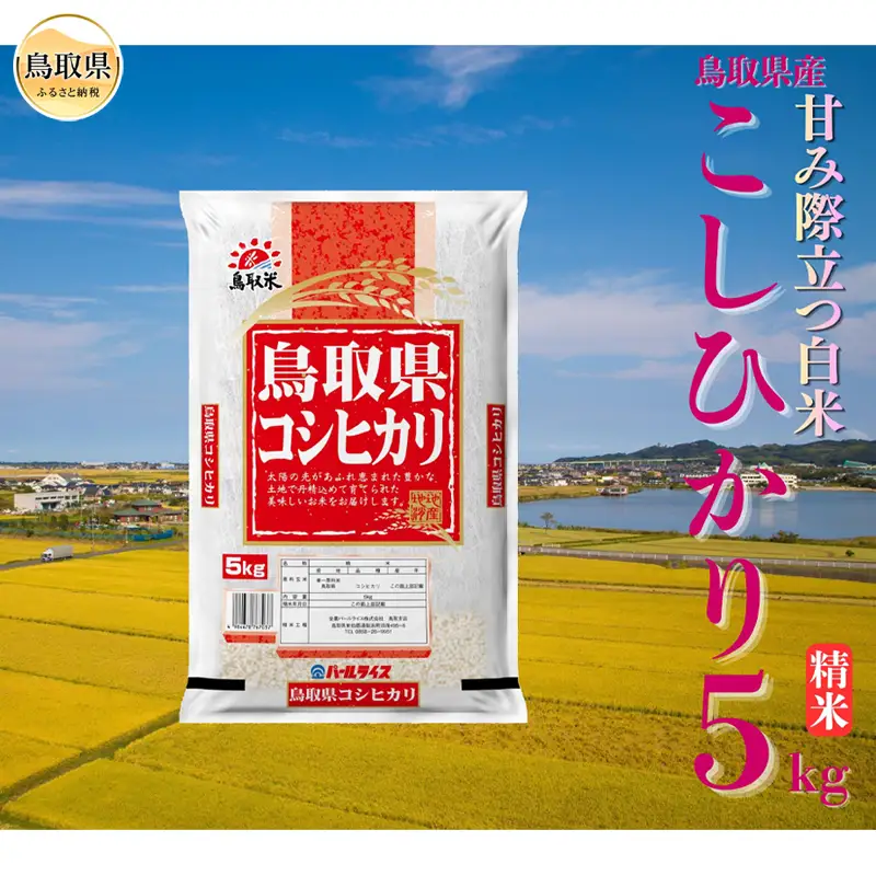 こしひかり◇鳥取県産◇精米5kg_T2600513