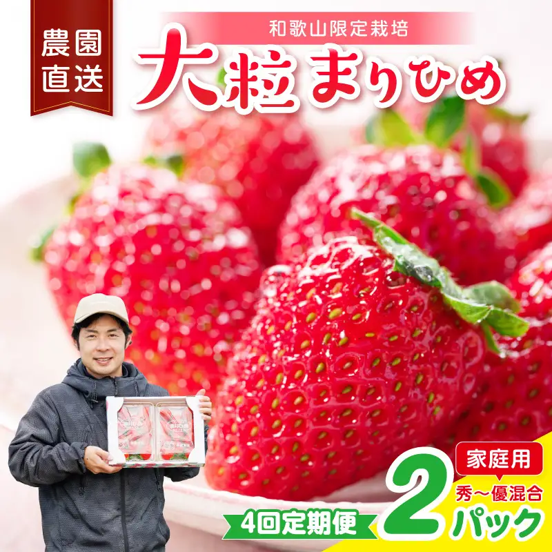 【4回定期便】大粒の贅沢！毎月届く幸せ「まりひめ」を農家直送で【家庭用】2パック ＜固定月発送＞ 【配送不可地域：北海道・青森・秋田・岩手・沖縄・離島】【8074】