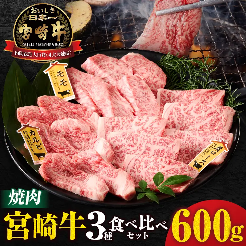 宮崎牛『焼肉』3種食べ比べセット(合計600g)肉 牛 牛肉 おかず 国産_T009-036