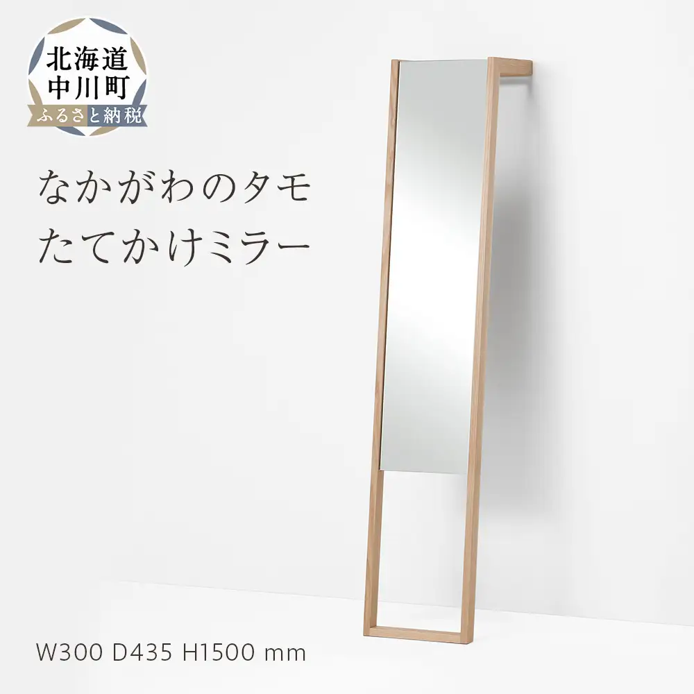 なかがわのタモ　たてかけミラー