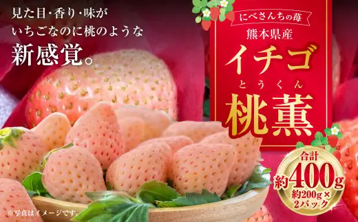 にべさんちの苺 熊本県産イチゴ桃薫(とうくん) 約400g 【2027年1月下旬発送開始】