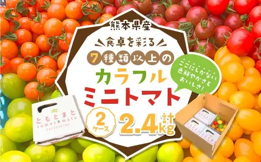 熊本県産食卓を彩る7種類以上の色鮮やかなカラフルミニトマト 4箱入り2ケース 計2.4kg 熊本県産 トマト プチトマト 【2026年11月上旬発送開始】