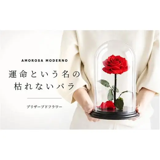 AMOROSA MODERNO デスティニーローズ（1本立ち） ブライトレッド  【upel0008】