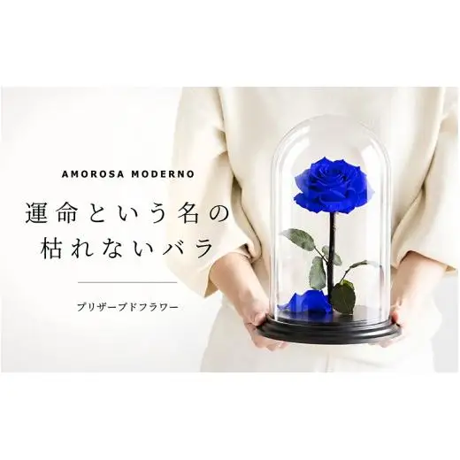 AMOROSA MODERNO デスティニーローズ（1本立ち） エクセレントブルー【upel0009】
