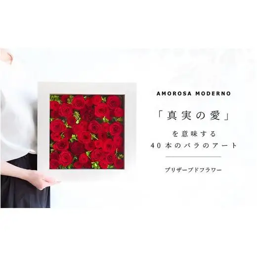 AMOROSA MODERNO パナッシュ(W37-H37) / レッド40本【upel0011】