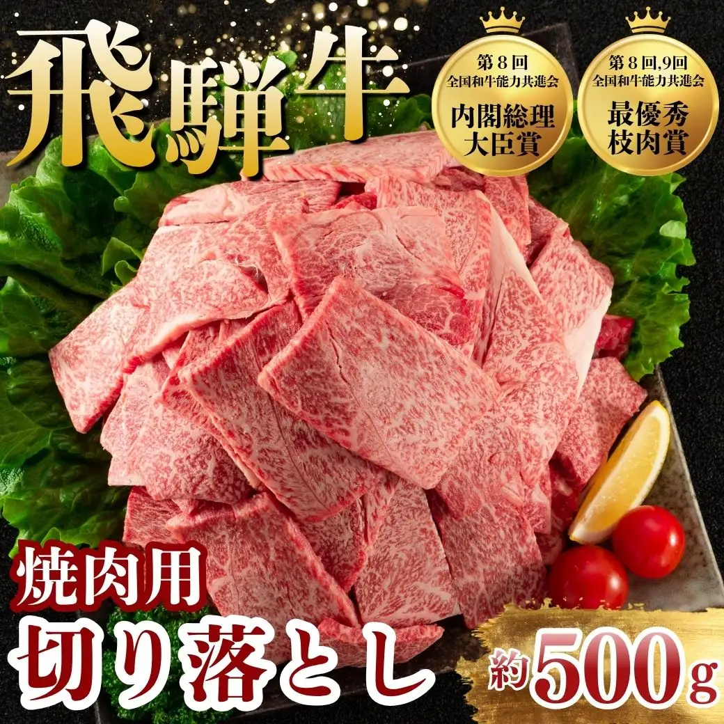 飛騨牛 焼肉 切り落とし 500g