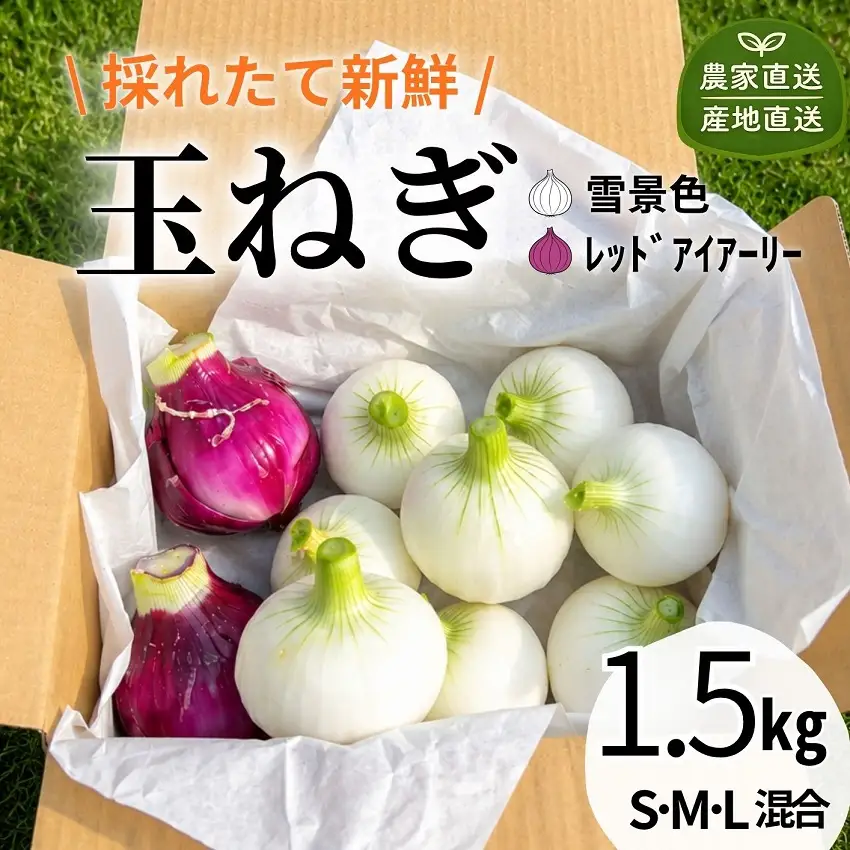 【有機堆肥・栽培期間中農薬不使用】シャキ甘 白＆赤玉ねぎミックス 1.5kg サラダ用 北海道産 十勝 池田町 ゆうゆう農園（たまねぎ 2色 食べ比べ）玉ねぎ たまねぎ
