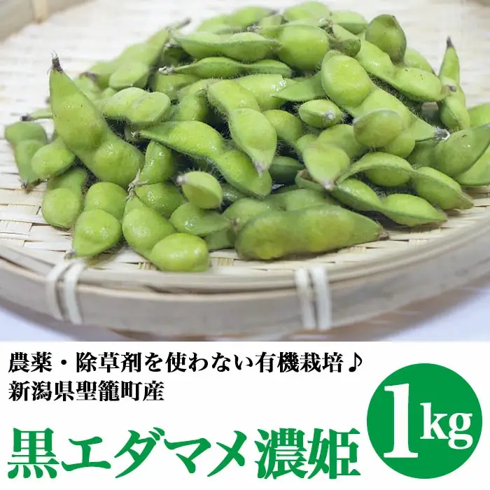 有機枝豆（黒エダマメ濃姫）1kg【傳九郎農園】