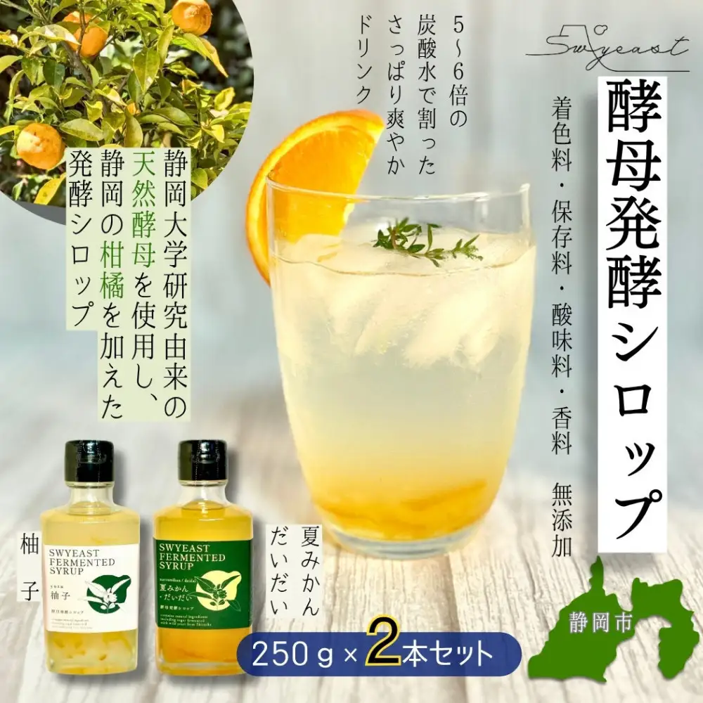 大学研究の天然酵母使用 お酒でもジュースでもない新感覚発酵シロップ　250ｇｘ2本