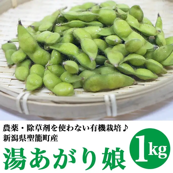 有機枝豆（湯あがり娘）1kg【傳九郎農園】
