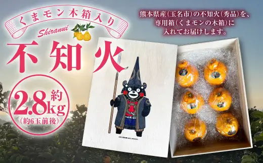くまモン 木箱入り 不知火 約2.8kg 約6玉前後 柑橘 果物 しらぬい みかん 蜜柑 フルーツ くだもの  【2027年3月上旬発送開始】