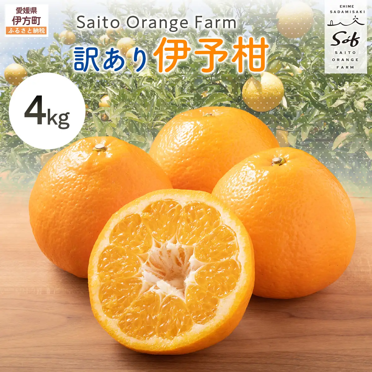 【先行予約】Saito Orange Farm　お徳・訳あり用　伊予柑4kg ｜ 柑橘 みかん ミカン フルーツ 果物 伊予柑　宮内伊予柑　 愛媛　　※2027年1月上旬頃より順次発送予定 IKTAQ037