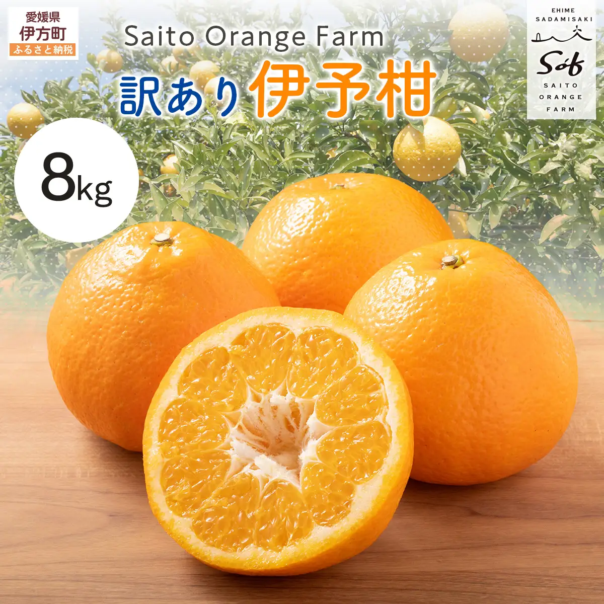【先行予約】Saito Orange Farm　お徳・訳あり用　伊予柑8kg ｜ 柑橘 みかん ミカン フルーツ 果物 伊予柑　宮内伊予柑　 愛媛　　※2027年1月上旬頃より順次発送予定 IKTAQ038