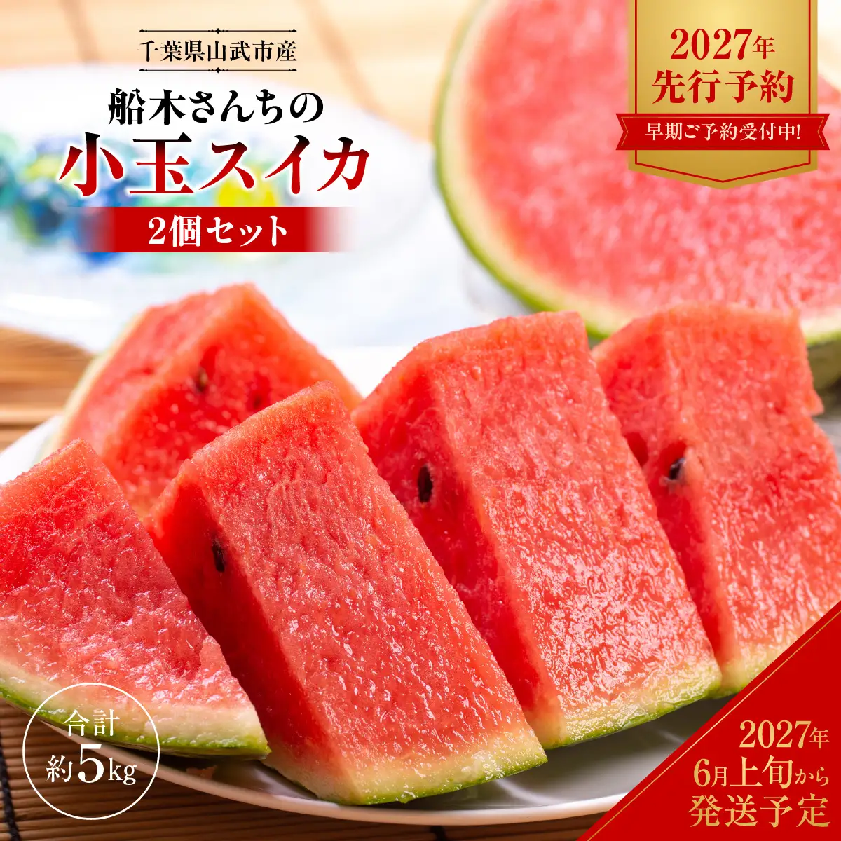 【先行予約・2027年6月上旬～発送】千葉県山武市産 船木さんちの小玉スイカ２個セット（合計約５㎏）  SMDD001