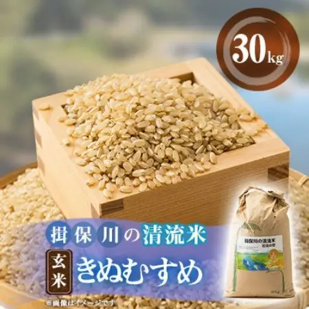 令和8年度　揖保川の清流米(きぬむすめ30kg)【玄米】【1757336】