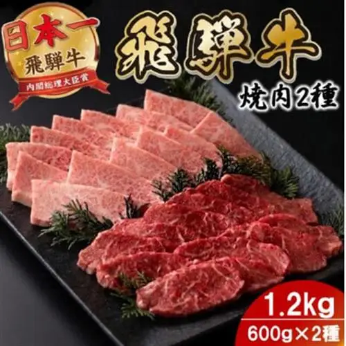 プチ贅沢!飛騨牛焼肉2種セット6人前1.2kg(各600g)【配送不可地域：離島】【1753981】