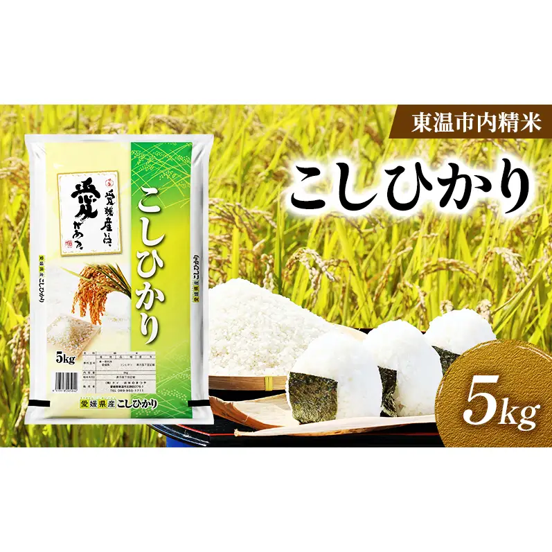 こしひかり 約5kg 東温市内精米 （愛媛県内産）数量限定 美味しい つや 高級  お米 5キロ 米 精米 白米 ブランド米 ご飯 ごはん 愛媛県 東温市