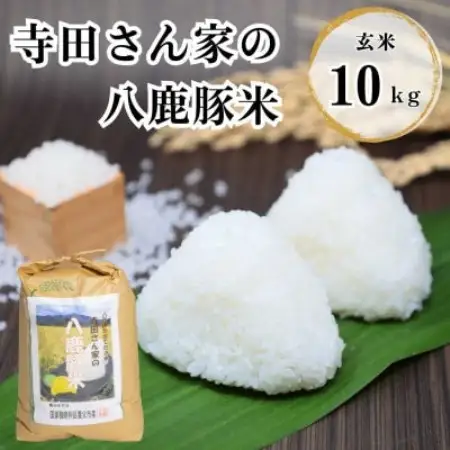 【令和7年産】 寺田さん家の八鹿豚米 コシヒカリ 玄米 10kg【1757841】