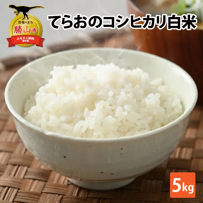 【先行予約】てらおのコシヒカリ白米 5kg×1袋 ※2026年9月20日以降順次発送 [A-041005]