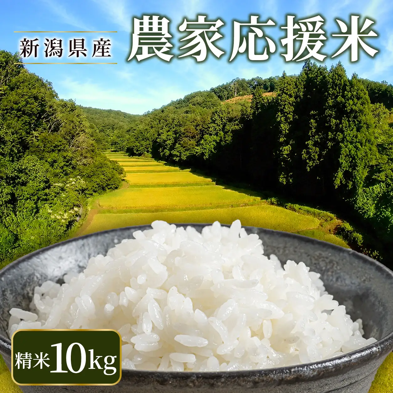 【ふるなび限定】【令和8年産 】新潟県産 農家応援米 精米 10kg　FN-Limited-SP