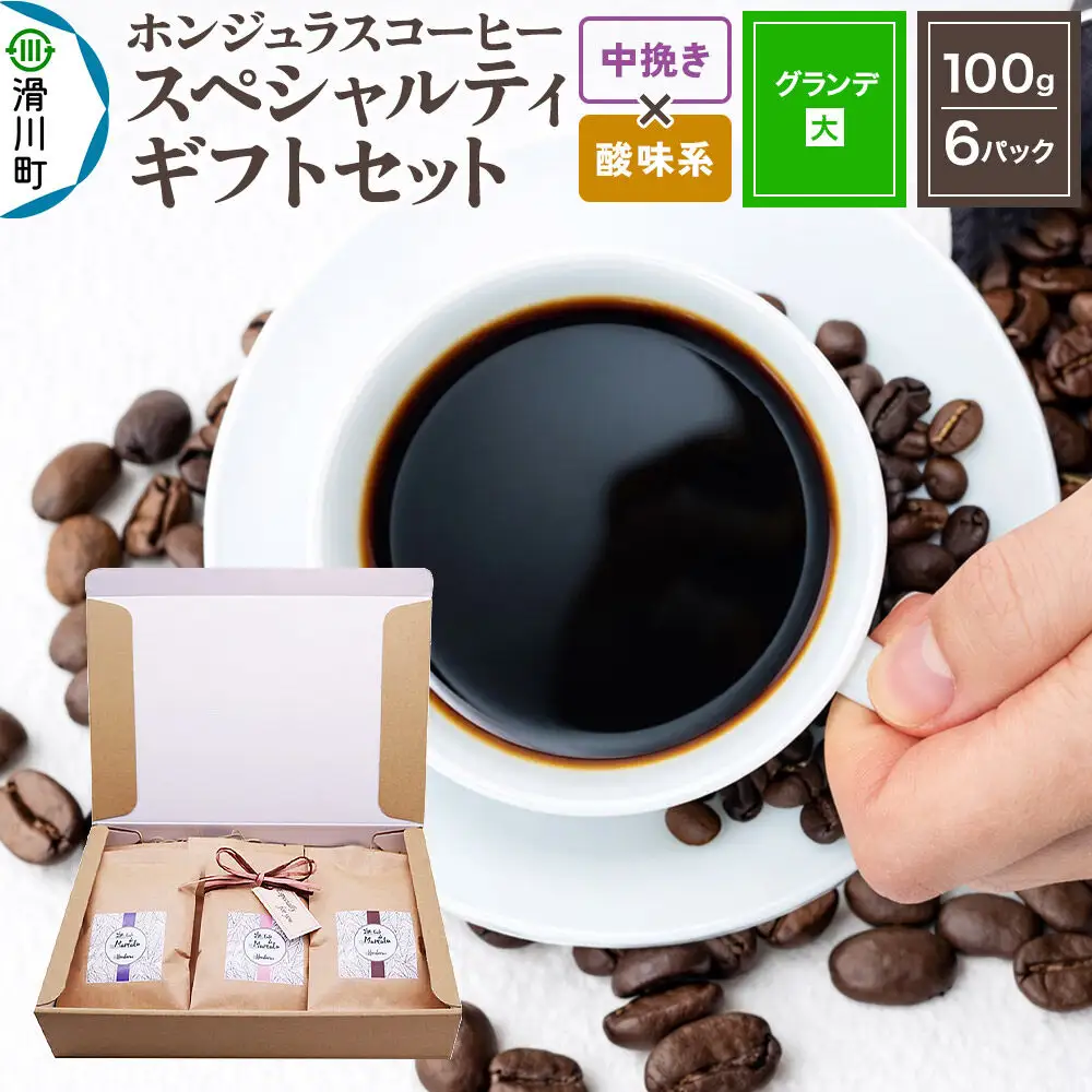 コーヒー豆 自家焙煎 ホンジュラス スペシャルティコーヒー ギフトセット【グランデ】 コーヒー粉焙煎豆100g×6パック 中挽き【酸味系おまかせ】 コーヒー粉