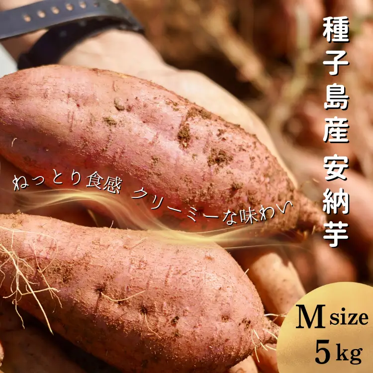 【 新物 11月～ 】 種子島 めっかり申さん 安納いも ( 生いも ) M サイズ 5kg　NFN631【300pt】