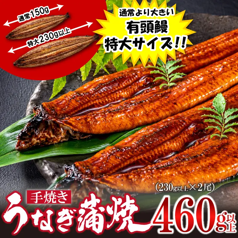 〈いろは〉特大サイズ 有頭うなぎ蒲焼 国産 2尾(460g以上) [M1023] ウナギ 鰻 炭火焼き 肉厚 うな重 ランキング 土用の丑の日 鹿児島県 人気 オススメ 宮若市