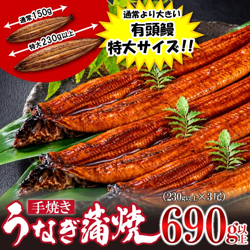 〈いろは〉特大サイズ 有頭うなぎ蒲焼 国産 3尾(690g以上) [M1024] ウナギ 鰻 炭火焼き 肉厚 うな重 ランキング 土用の丑の日 鹿児島県 人気 オススメ 宮若市